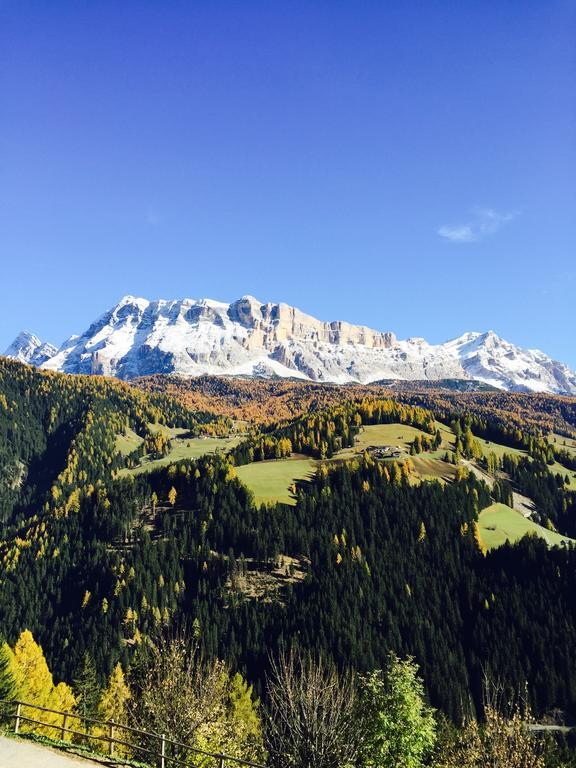 Ciasa Rudiferia Appartamenti In Alta Badia Buitenkant foto