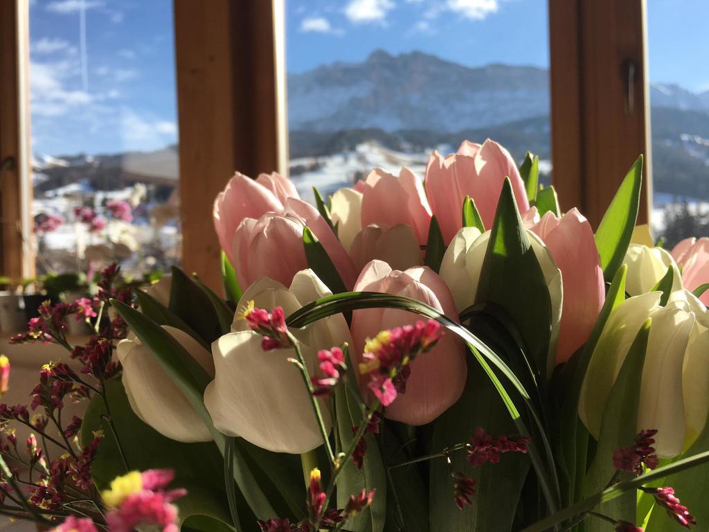 Ciasa Rudiferia Appartamenti In Alta Badia Buitenkant foto